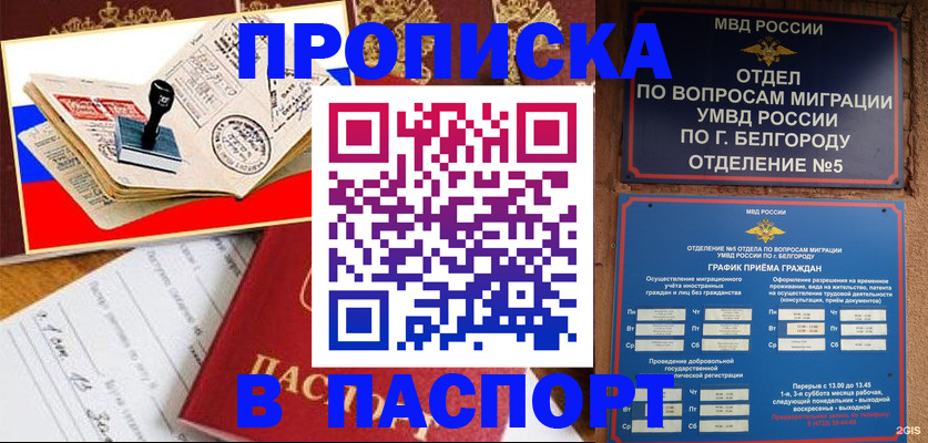 купить прописку в Коркино